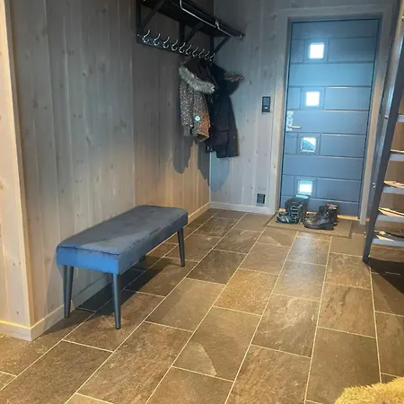 Modern With Sauna * Drangedal